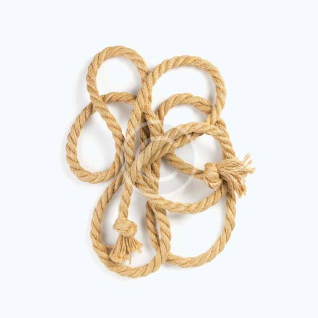 Anchor line
