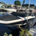 21 ft 2019 Sea Ray SPX 210