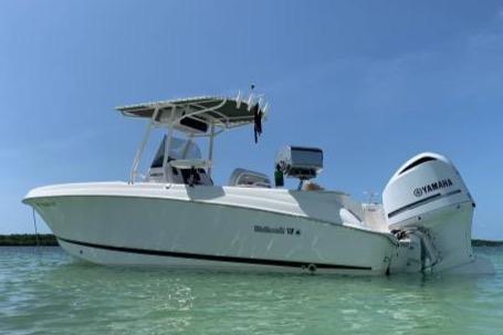 24 ft 2014 Wellcraft 252 Fisherman