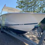 31 ft 2003 Jupiter 31