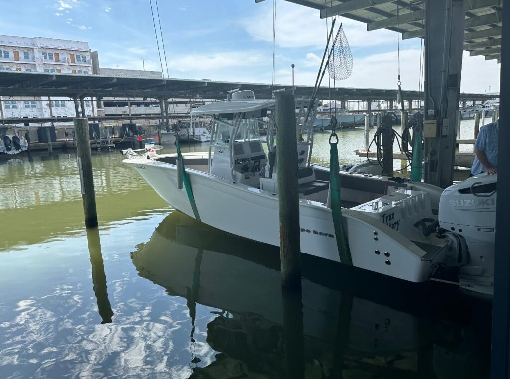 31 ft 2022 Cape Horn 31 T