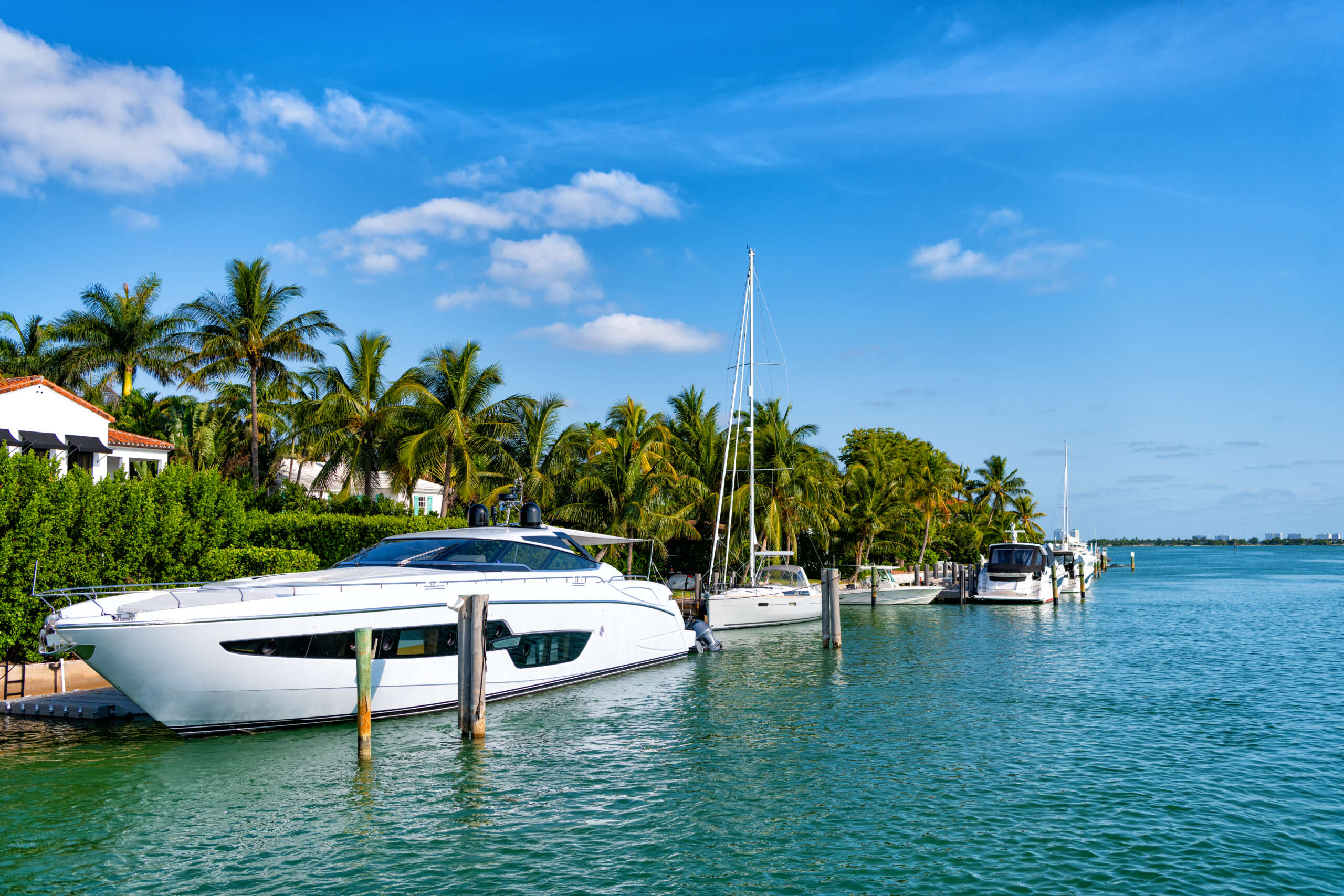 luxury private yacht in miami harbour with palm trees